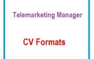 Telemarketing Manager CV Formats