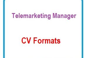 Telemarketing Manager CV Formats