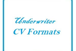 Underwriter CV Formats