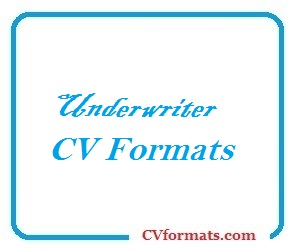 Underwriter CV Formats