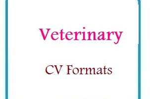Veterinary CV Formats