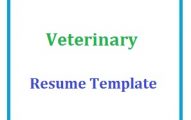 Veterinary Resume Template