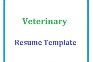 Veterinary Resume Template