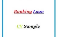 Banking Loan CV Sample