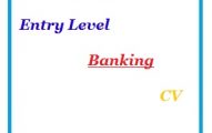 Entry Level Banking CV