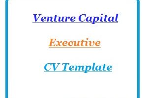 Venture Capital Executive CV Template