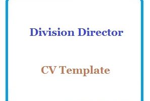 Division Director CV Template