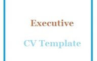 Executive CV Template