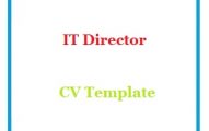 IT Director CV Template