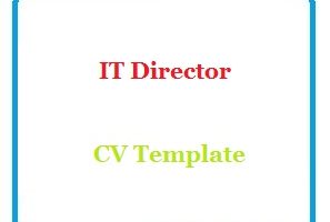 IT Director CV Template
