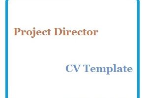 Project Director CV Template