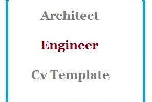 Architect Engineer Cv Template