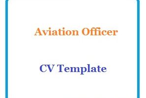 Aviation Officer CV Template