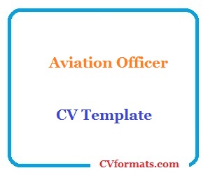 Aviation Officer CV Template