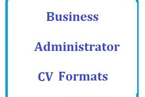 Business Administrator CV Formats