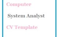 Computer System Analyst CV Template