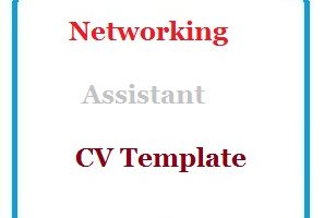 Networking Assistant CV Template