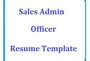 Sales Admin Officer Resume Template