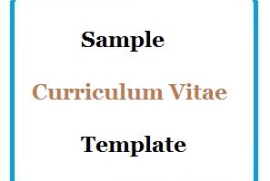 Sample Curriculum Vitae Template