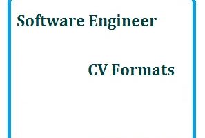 Software Engineer CV Formats