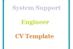 System Support Engineer CV Template