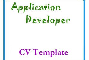 Application Developer CV Template