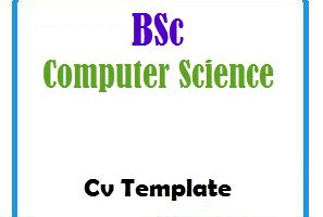 BSc Computer Science CV Template