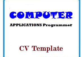 COMPUTER APPLICATIONS Programmer CV Template