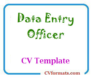 Data Entry Officer CV Template
