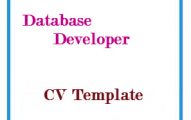 Database Developer CV Template