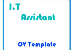 I.T Assistant CV Template