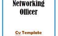 Networking Officer CV Template