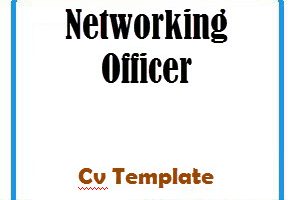Networking Officer CV Template