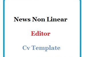 News Non Linear Editor Cv Template