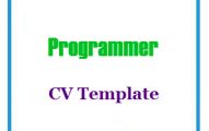 Programmer CV Template