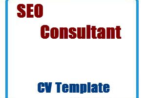SEO Consultant CV Template