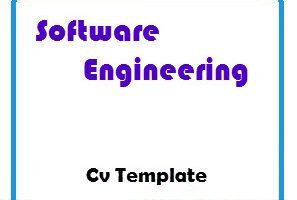 Software Engineering Cv Template