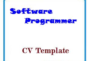 Software Programmer CV Template