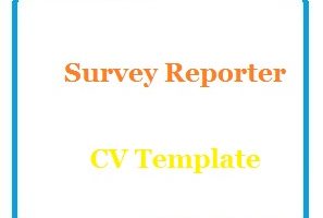 Survey Reporter CV Template