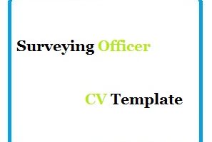 Surveying Officer CV Template