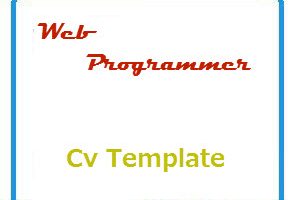 Web Programmer CV Template