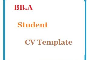 BB.A Student CV Template