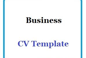 Business CV Template