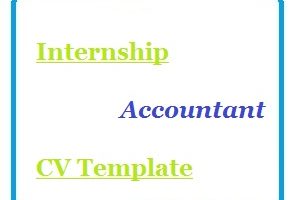 Internship Accountant CV Template