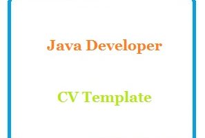 Java Developer CV Template