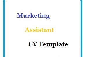 Marketing Assistant CV Template