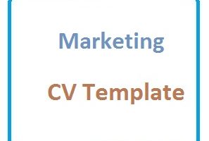 Marketing CV Template