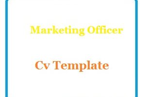 Marketing Officer Cv Template