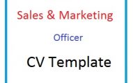 Sales & Marketing Officer CV Template
