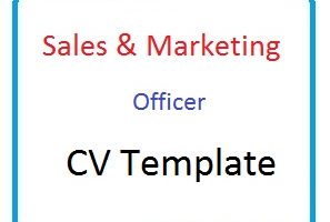 Sales & Marketing Officer CV Template
